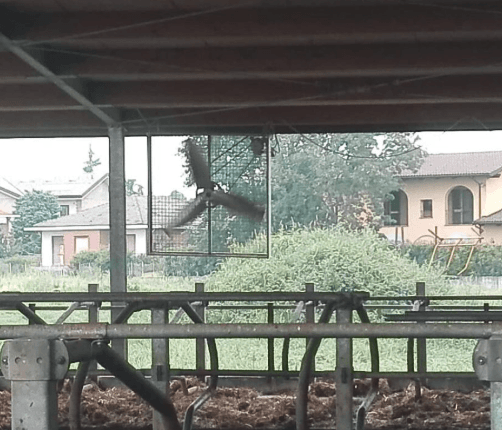 Gaisa cirkulācijas ventilators 44 400 m³/h – jaudīgs industriālais ventilators lielām telpām