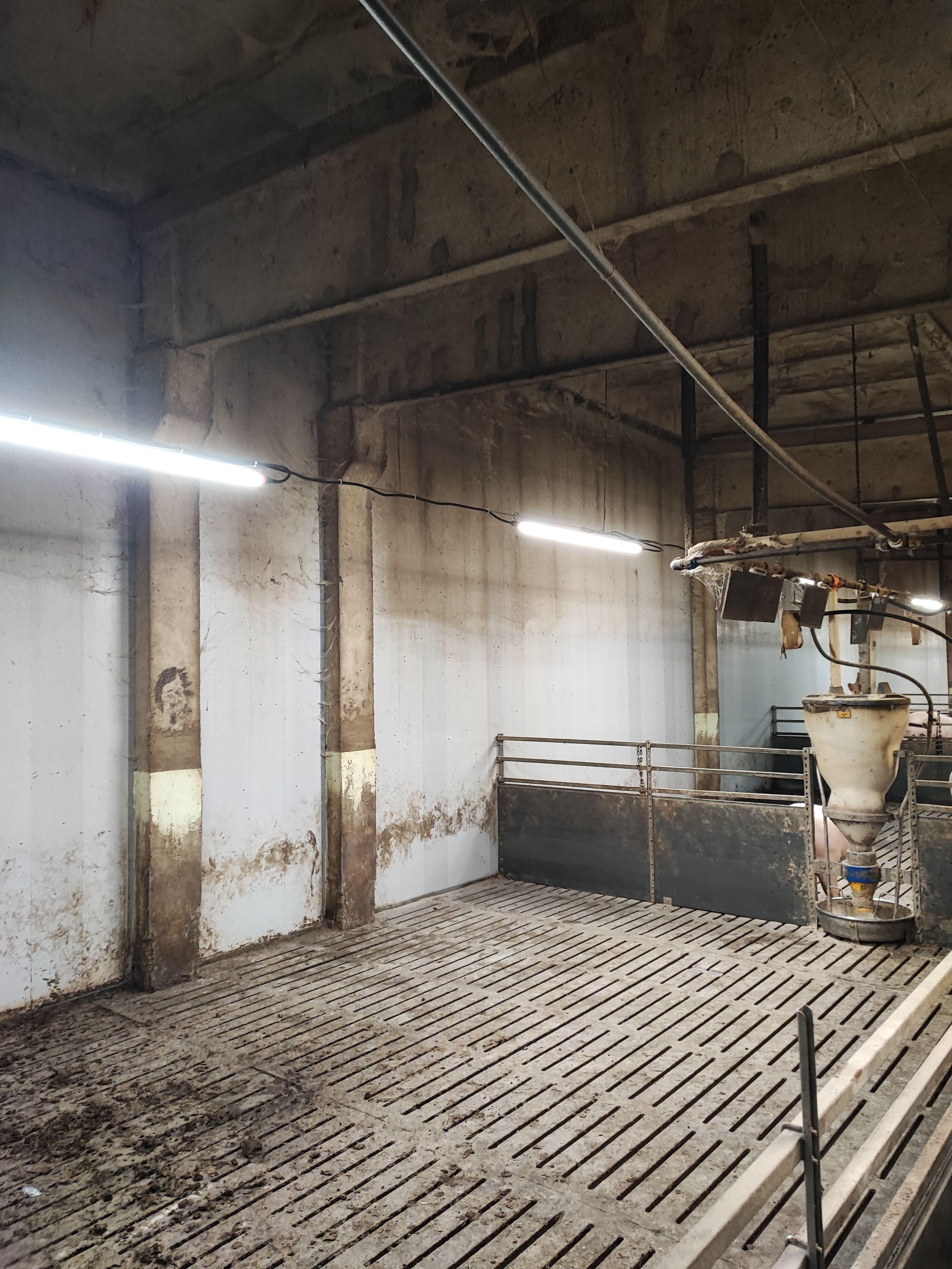 Ūdensizturīgs LED cauruļveida gaismeklis IP67 ar 3,5 m kabeli (ON/OFF)